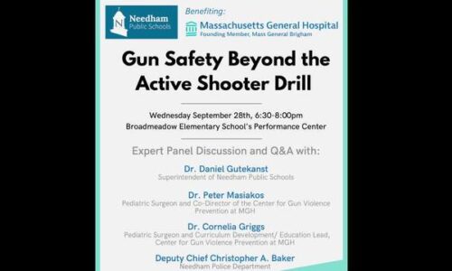 Panel Discussion on Gun Safety