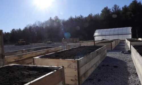 Grant Helps Community Farm Grow During Winter