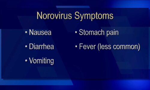 Norovirus and Needham 2023