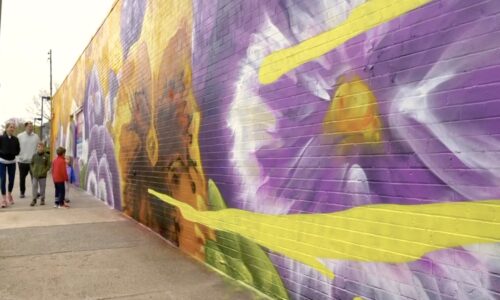 New Mural ‘Blossoms’ in the Heights