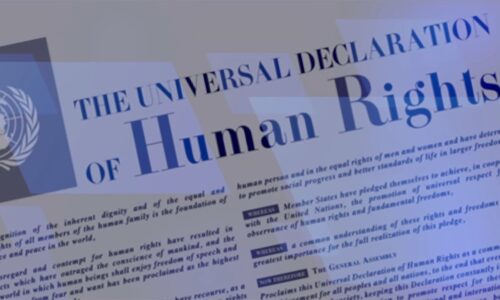 In Their Words: The Needham Human Rights Committee