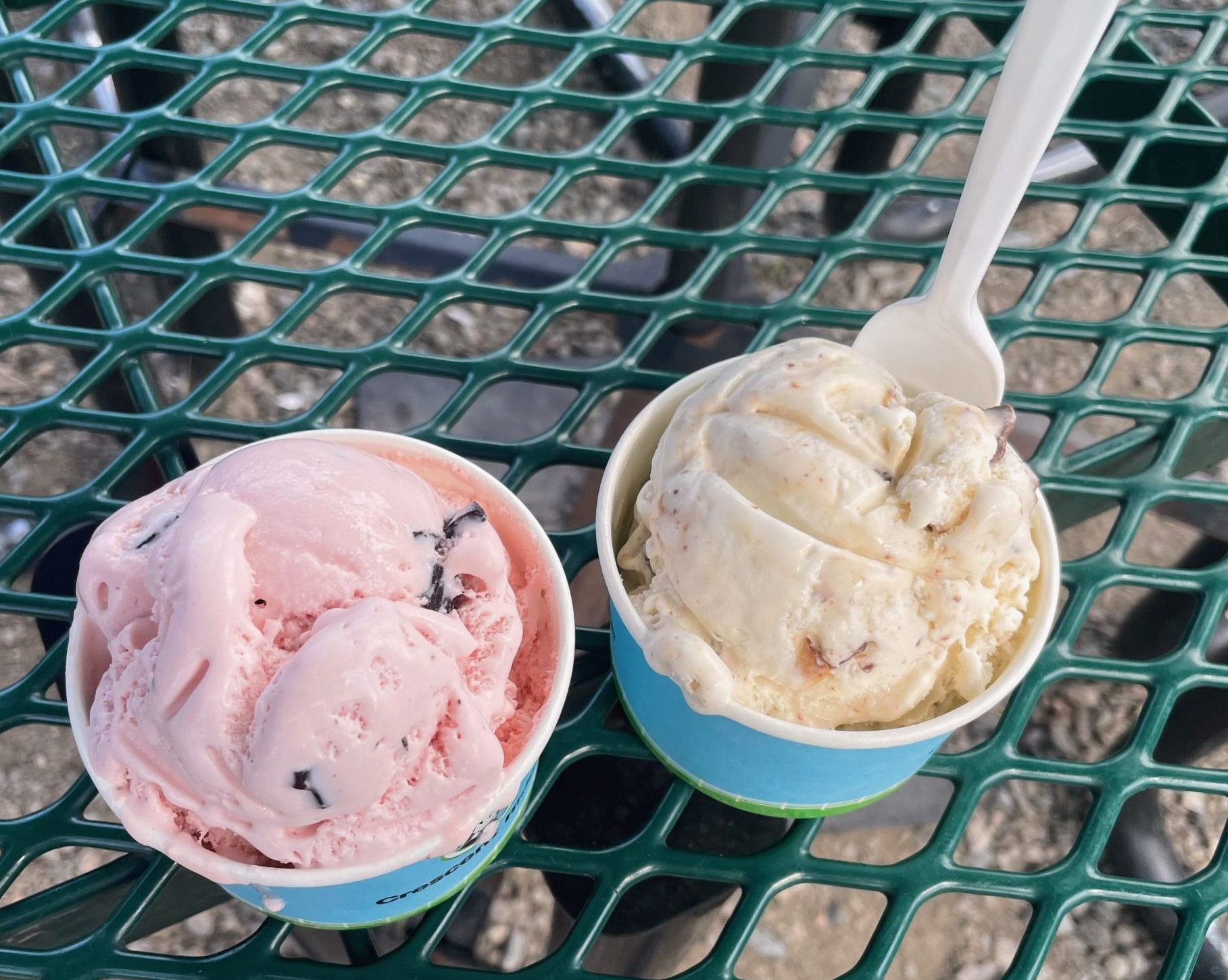 Get the Scoop on Local Ice Cream Needham Local