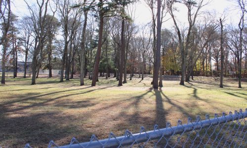 Off-Leash Dog Area Considered at Mills Field, Rosemary Lake