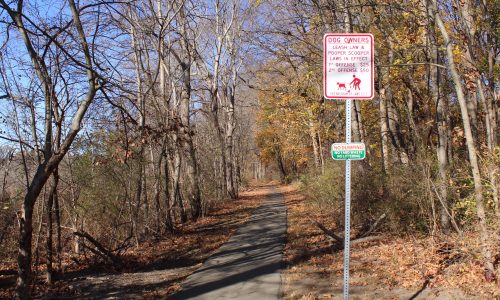 The Signs Are Everywhere