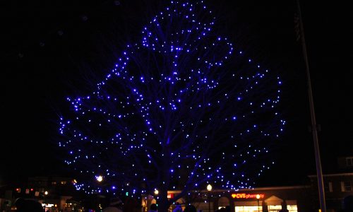 Blue Tree Shines in its 70th Year