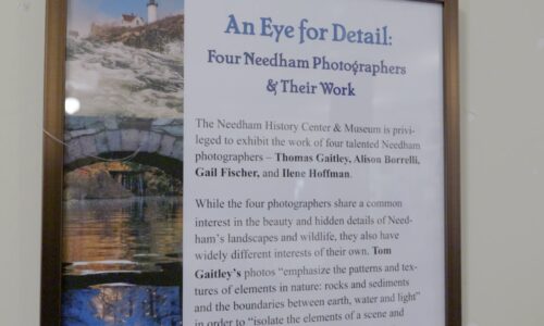 Exhibit Demonstrates “An Eye for Detail”