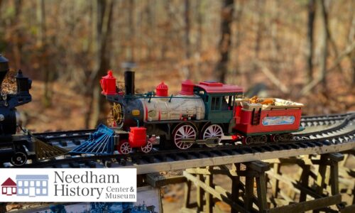 Needham History: The Town Forest