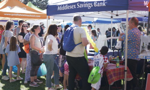 Photo Gallery: Needham Harvest Fair