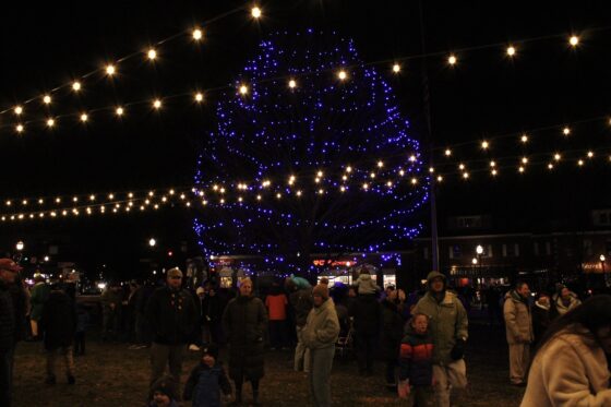 Helping with the Holiday Blues