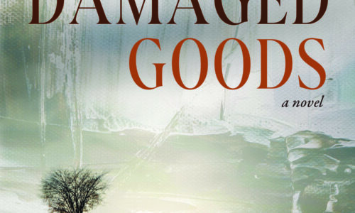 Town Native Captures 1970s Needham, Family Dynamics in Debut Novel