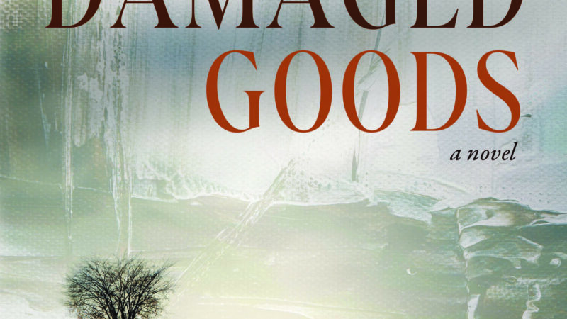 Town Native Captures 1970s Needham, Family Dynamics in Debut Novel