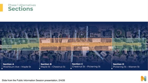 Survey on Town Center Faces Continued Resistance