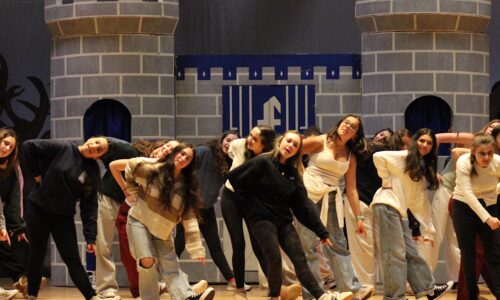 “Shrek the Musical” Flips Fairytales Upside Down