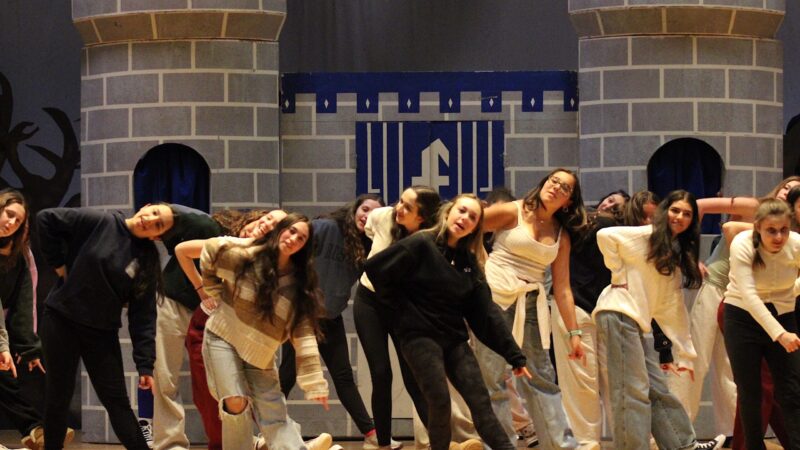 ‘Shrek the Musical’ Flips Fairytales Upside Down