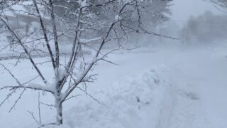 Recovering from the Blizzard of ’26