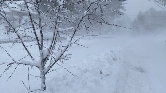 Recovering from the Blizzard of ’26