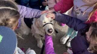 Schools Adopt Emotional Support Animal Policy