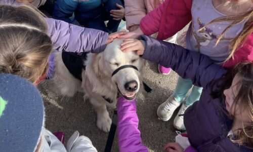 Schools Adopt Emotional Support Animal Policy