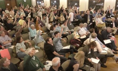 Disc Golf Study Scores, Pollard Zoning Passes at Town Meeting