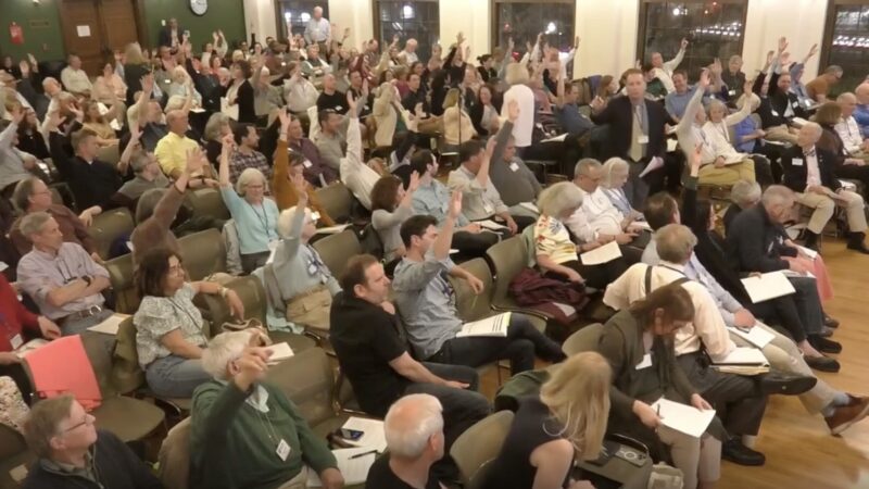 Disc Golf Study Scores, Pollard Zoning Passes at Town Meeting