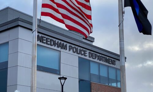 NPD’s 2025 Report on Crime