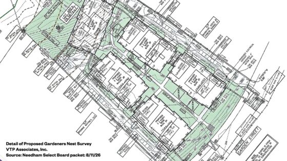 Future Garden Street Complex Still in Development