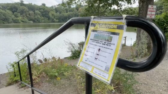 Rosemary Lake Experiencing Algal Bloom
